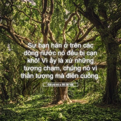 Picture 05 - Giê-rê-mi-a 50:38 VIE - Sự hạn hán ở trên các dòng nước nó - Bible Verse Picture