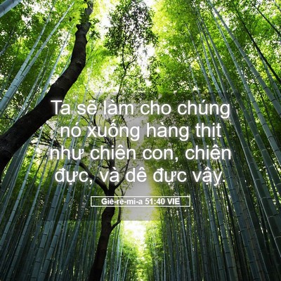Picture 05 - Giê-rê-mi-a 51:40 VIE - Ta sẽ làm cho chúng nó xuống hàng thịt - Bible Verse Picture