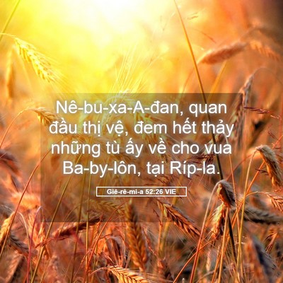 Picture 05 - Giê-rê-mi-a 52:26 VIE - Nê-bu-xa-A-đan, quan đầu thị vệ, đem - Bible Verse Picture