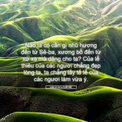 Picture 05 - Giê-rê-mi-a 6:20 VIE - Nào ta có cần gì nhũ hương đến từ - Bible Verse Picture