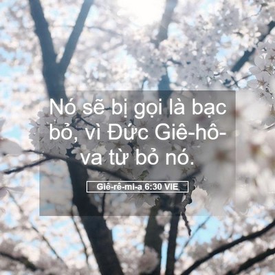 Picture 05 - Giê-rê-mi-a 6:30 VIE - Nó sẽ bị gọi là bạc bỏ, vì Đức - Bible Verse Picture