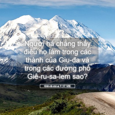 Picture 05 - Giê-rê-mi-a 7:17 VIE - Ngươi há chẳng thấy điều họ làm - Bible Verse Picture