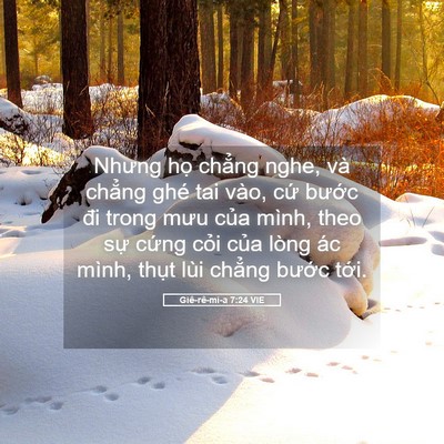 Picture 05 - Giê-rê-mi-a 7:24 VIE - Nhưng họ chẳng nghe, và chẳng ghé tai - Bible Verse Picture