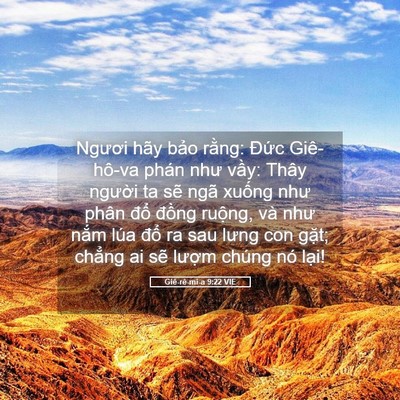 Picture 05 - Giê-rê-mi-a 9:22 VIE - Ngươi hãy bảo rằng: Đức Giê-hô-va - Bible Verse Picture