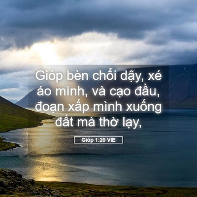 Picture 05 - Gióp 1:20 VIE - Gióp bèn chổi dậy, xé áo mình, và cạo - Bible Verse Picture