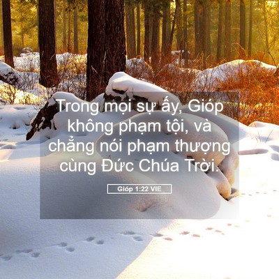 Picture 05 - Gióp 1:22 VIE - Trong mọi sự ấy, Gióp không phạm tội, - Bible Verse Picture