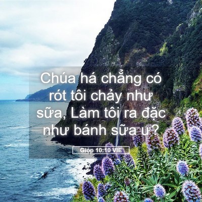 Picture 05 - Gióp 10:10 VIE - Chúa há chẳng có rót tôi chảy như - Bible Verse Picture