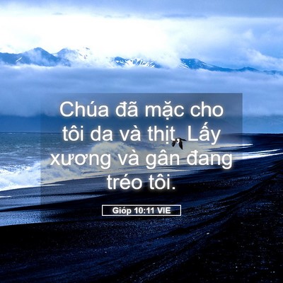 Picture 05 - Gióp 10:11 VIE - Chúa đã mặc cho tôi da và thịt, Lấy - Bible Verse Picture