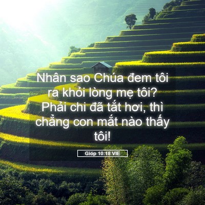 Picture 05 - Gióp 10:18 VIE - Nhân sao Chúa đem tôi ra khỏi lòng mẹ - Bible Verse Picture
