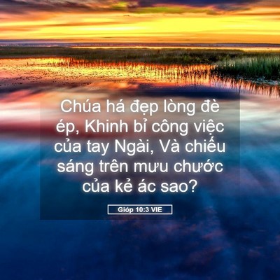 Picture 05 - Gióp 10:3 VIE - Chúa há đẹp lòng đè ép, Khinh bỉ công - Bible Verse Picture