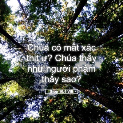 Picture 05 - Gióp 10:4 VIE - Chúa có mắt xác thịt ư? Chúa thấy như - Bible Verse Picture