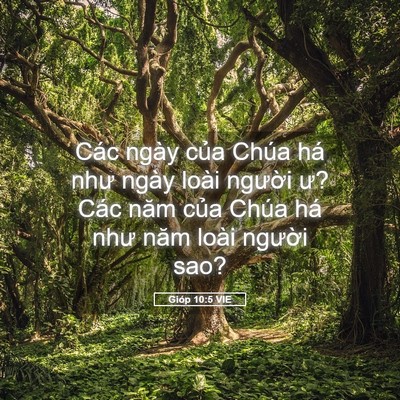 Picture 05 - Gióp 10:5 VIE - Các ngày của Chúa há như ngày loài - Bible Verse Picture
