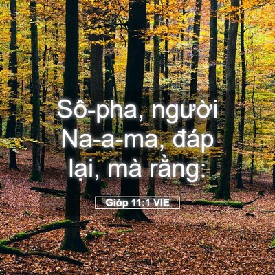 Picture 05 - Gióp 11:1 VIE - Sô-pha, người Na-a-ma, đáp lại, mà - Bible Verse Picture