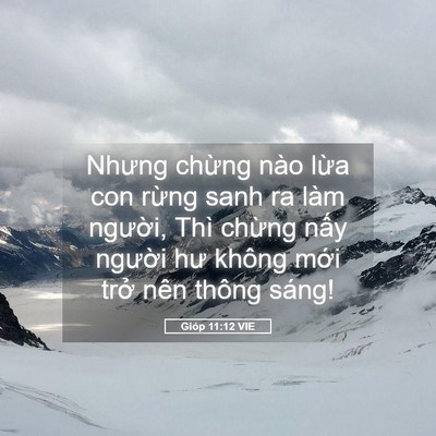 Picture 05 - Gióp 11:12 VIE - Nhưng chừng nào lừa con rừng sanh ra làm - Bible Verse Picture
