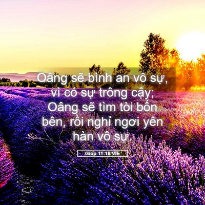 Picture 05 - Gióp 11:18 VIE - Oâng sẽ bình an vô sự, vì có sự trông - Bible Verse Picture