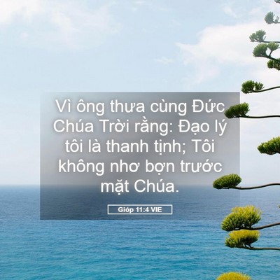 Picture 05 - Gióp 11:4 VIE - Vì ông thưa cùng Đức Chúa Trời rằng: - Bible Verse Picture