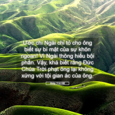 Picture 05 - Gióp 11:6 VIE - Ước chi Ngài chỉ tỏ cho ông biết sự - Bible Verse Picture