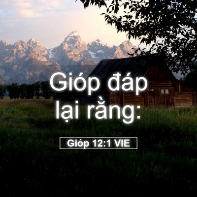 Picture 05 - Gióp 12:1 VIE - Gióp đáp lại - Bible Verse Picture