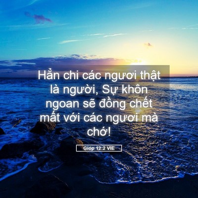 Picture 05 - Gióp 12:2 VIE - Hẳn chi các ngươi thật là người, Sự - Bible Verse Picture