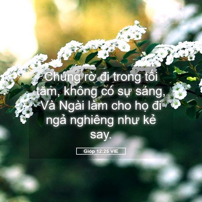 Picture 05 - Gióp 12:25 VIE - Chúng rờ đi trong tối tăm, không có sự - Bible Verse Picture