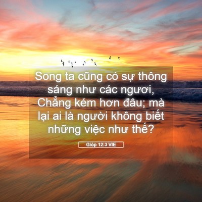 Picture 05 - Gióp 12:3 VIE - Song ta cũng có sự thông sáng như các - Bible Verse Picture
