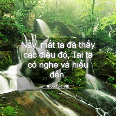 Picture 05 - Gióp 13:1 VIE - Nầy, mắt ta đã thấy các điều đó, - Bible Verse Picture