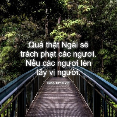 Picture 05 - Gióp 13:10 VIE - Quả thật Ngài sẽ trách phạt các - Bible Verse Picture