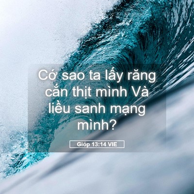 Picture 05 - Gióp 13:14 VIE - Cớ sao ta lấy răng cắn thịt mình Và - Bible Verse Picture