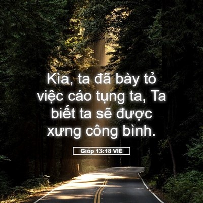 Picture 05 - Gióp 13:18 VIE - Kìa, ta đã bày tỏ việc cáo tụng ta, Ta - Bible Verse Picture