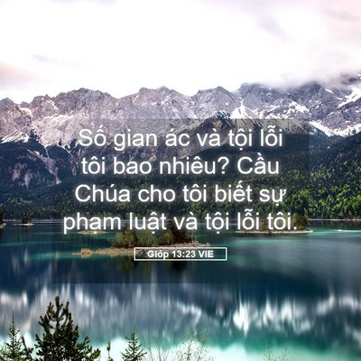 Picture 05 - Gióp 13:23 VIE - Số gian ác và tội lỗi tôi bao nhiêu? - Bible Verse Picture