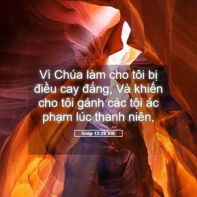 Picture 05 - Gióp 13:26 VIE - Vì Chúa làm cho tôi bị điều cay đắng, - Bible Verse Picture