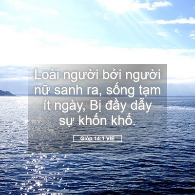 Picture 05 - Gióp 14:1 VIE - Loài người bởi người nữ sanh ra, - Bible Verse Picture