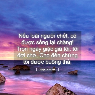 Picture 05 - Gióp 14:14 VIE - Nếu loài người chết, có được sống - Bible Verse Picture