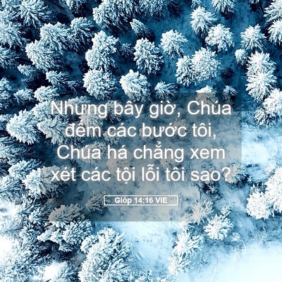 Picture 05 - Gióp 14:16 VIE - Nhưng bây giờ, Chúa đếm các bước - Bible Verse Picture