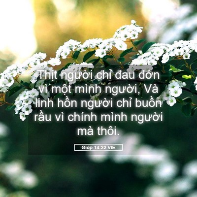 Picture 05 - Gióp 14:22 VIE - Thịt người chỉ đau đớn vì một mình - Bible Verse Picture