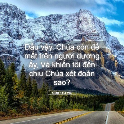 Picture 05 - Gióp 14:3 VIE - Dầu vậy, Chúa còn để mắt trên - Bible Verse Picture