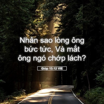 Picture 05 - Gióp 15:12 VIE - Nhân sao lòng ông bức tức, Và mắt ông - Bible Verse Picture