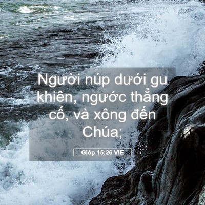 Picture 05 - Gióp 15:26 VIE - Người núp dưới gu khiên, ngước thẳng - Bible Verse Picture
