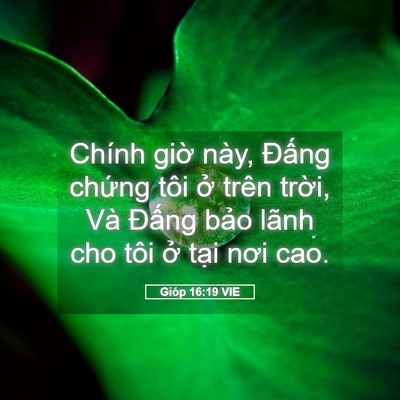 Picture 05 - Gióp 16:19 VIE - Chính giờ này, Đấng chứng tôi ở trên - Bible Verse Picture