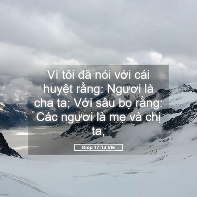 Picture 05 - Gióp 17:14 VIE - Vì tôi đã nói với cái huyệt rằng: - Bible Verse Picture