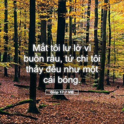 Picture 05 - Gióp 17:7 VIE - Mắt tôi lư lờ vì buồn rầu, tứ chi - Bible Verse Picture