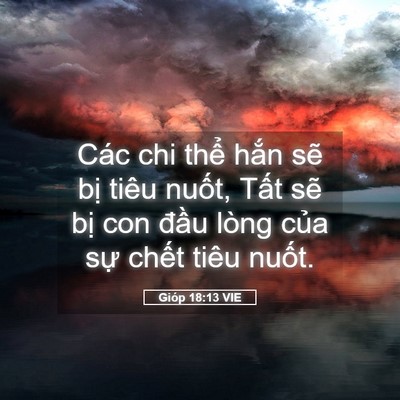 Picture 05 - Gióp 18:13 VIE - Các chi thể hắn sẽ bị tiêu nuốt, - Bible Verse Picture