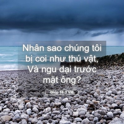 Picture 05 - Gióp 18:3 VIE - Nhân sao chúng tôi bị coi như thú vật, - Bible Verse Picture