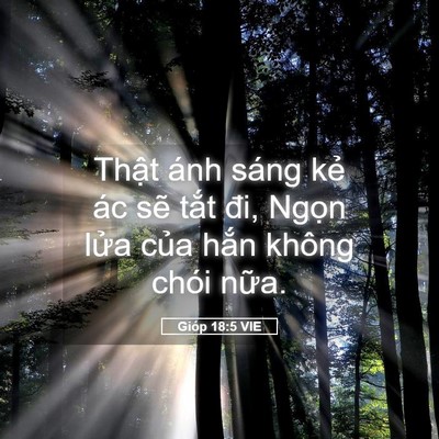 Picture 05 - Gióp 18:5 VIE - Thật ánh sáng kẻ ác sẽ tắt đi, Ngọn - Bible Verse Picture