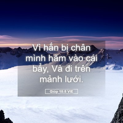 Picture 05 - Gióp 18:8 VIE - Vì hắn bị chân mình hãm vào cái bẩy, - Bible Verse Picture