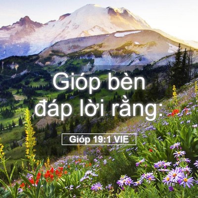 Picture 05 - Gióp 19:1 VIE - Gióp bèn đáp lời - Bible Verse Picture