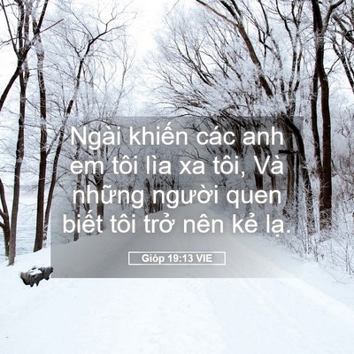 Picture 05 - Gióp 19:13 VIE - Ngài khiến các anh em tôi lìa xa tôi, Và - Bible Verse Picture
