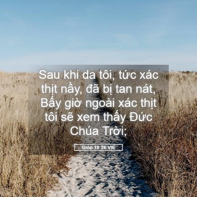 Picture 05 - Gióp 19:26 VIE - Sau khi da tôi, tức xác thịt nầy, đã - Bible Verse Picture