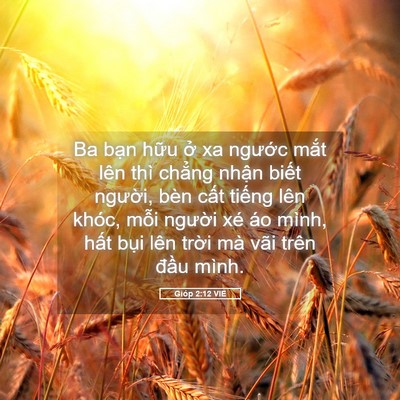 Picture 05 - Gióp 2:12 VIE - Ba bạn hữu ở xa ngước mắt lên thì - Bible Verse Picture