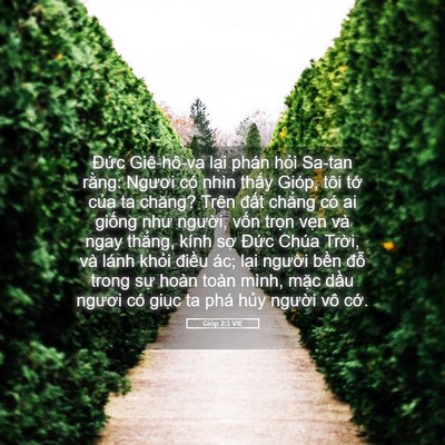 Picture 05 - Gióp 2:3 VIE - Đức Giê-hô-va lại phán hỏi Sa-tan - Bible Verse Picture